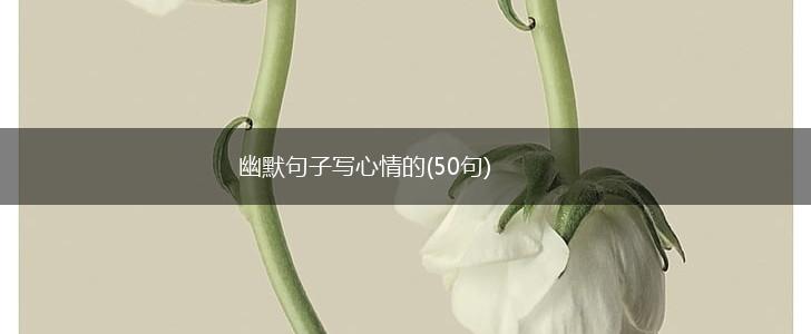 幽默句子写心情的(50句),第1张