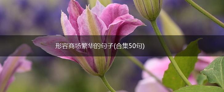 形容商场繁华的句子(合集50句),第1张