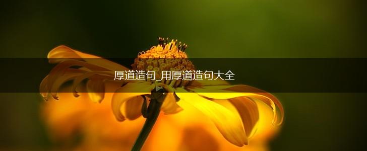 厚道造句_用厚道造句大全,第1张 厚道造句_用厚道造句大全,第1张
