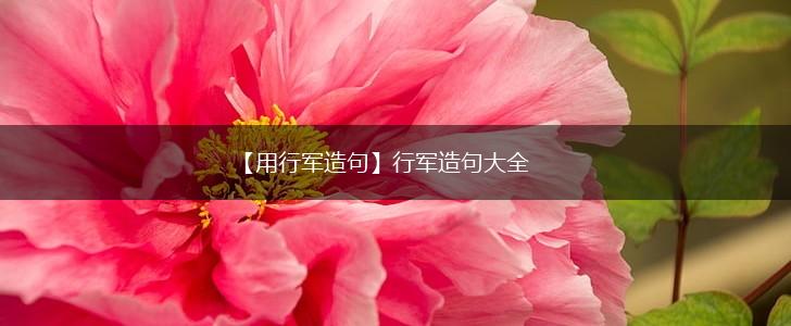 【用行军造句】行军造句大全,第1张 【用行军造句】行军造句大全,第1张
