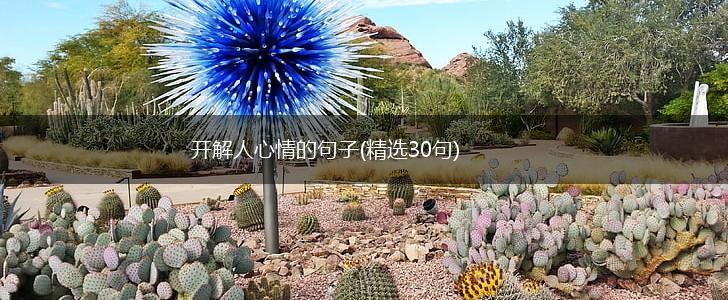 开解人心情的句子(精选30句),第1张