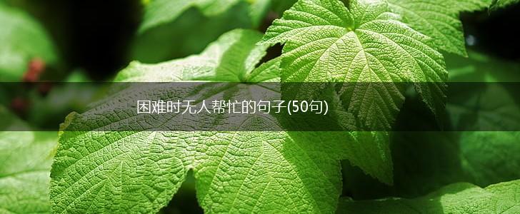 困难时无人帮忙的句子(50句),第1张