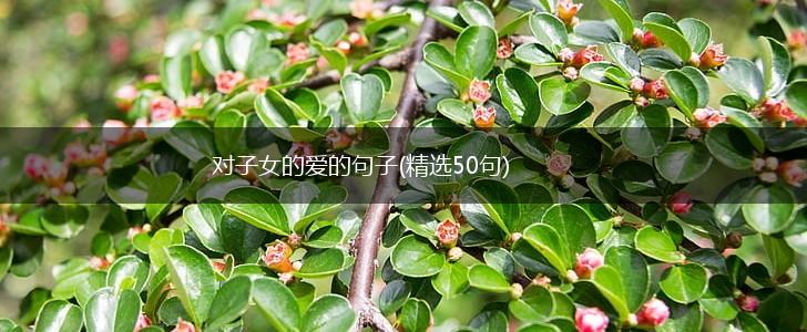 对子女的爱的句子(精选50句),第1张