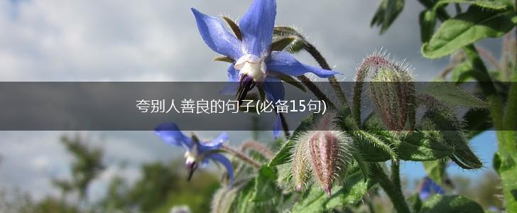 夸别人善良的句子(必备15句),第1张