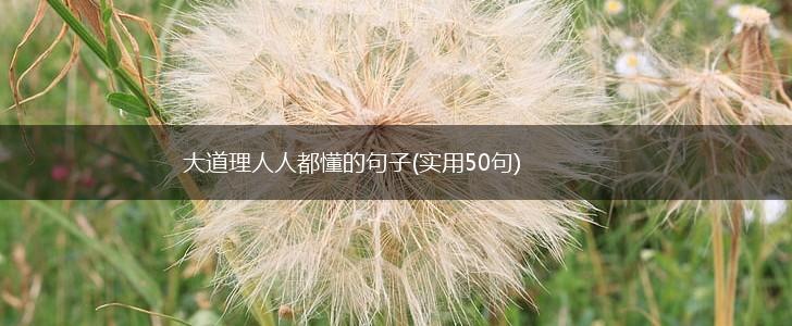 大道理人人都懂的句子(实用50句),第1张
