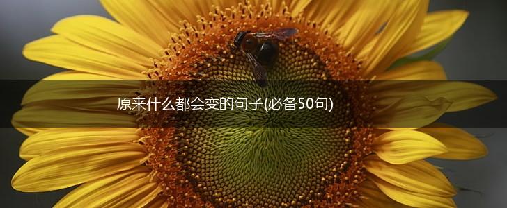 原来什么都会变的句子(必备50句),第1张