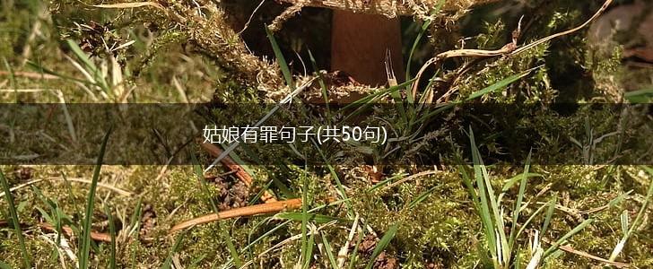 姑娘有罪句子(共50句),第1张
