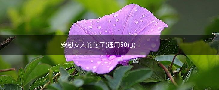 安慰女人的句子(通用50句),第1张