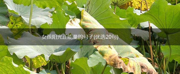 女孩阳光正能量的句子(优选20句),第1张