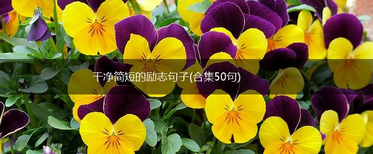 干净简短的励志句子(合集50句),第1张