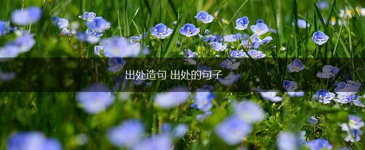 出处造句 出处的句子,第1张