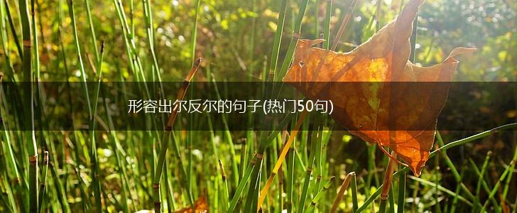 形容出尔反尔的句子(热门50句),第1张