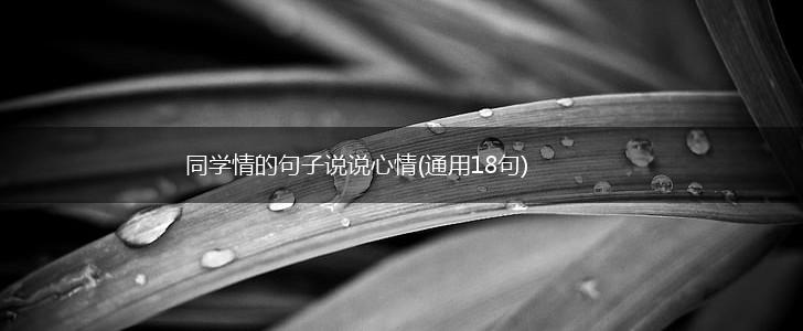 同学情的句子说说心情(通用18句),第1张