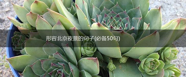 形容北京夜景的句子(必备50句),第1张