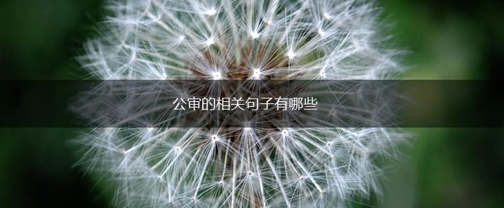 公审的相关句子有哪些,第1张 公审的相关句子有哪些,第1张