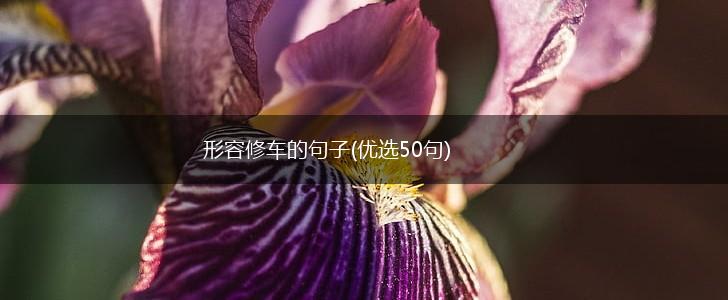 形容修车的句子(优选50句),第1张