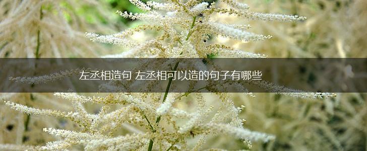 左丞相造句 左丞相可以造的句子有哪些,第1张