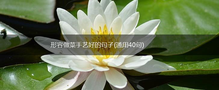 形容做菜手艺好的句子(通用40句),第1张