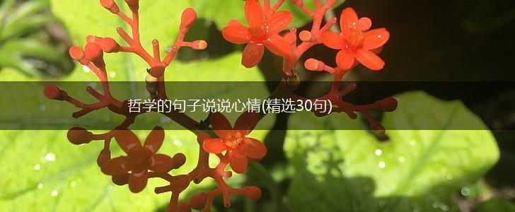 哲学的句子说说心情(精选30句),第1张