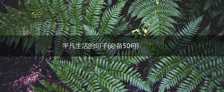 平凡生活的句子(必备50句),第1张