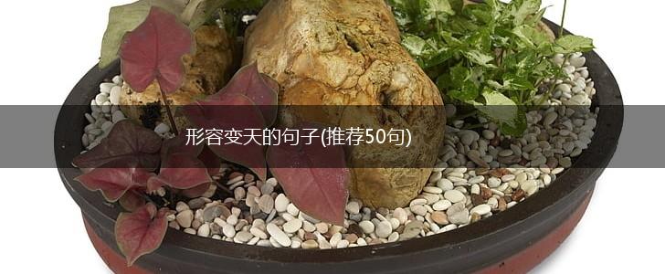 形容变天的句子(推荐50句),第1张