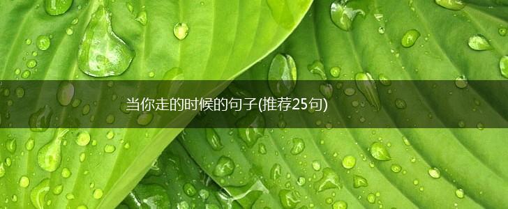 当你走的时候的句子(推荐25句),第1张