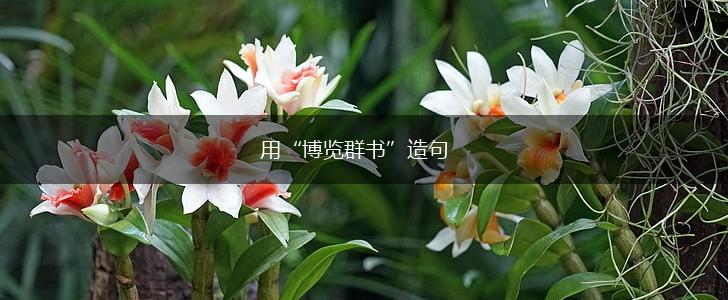 用“博览群书”造句,第1张