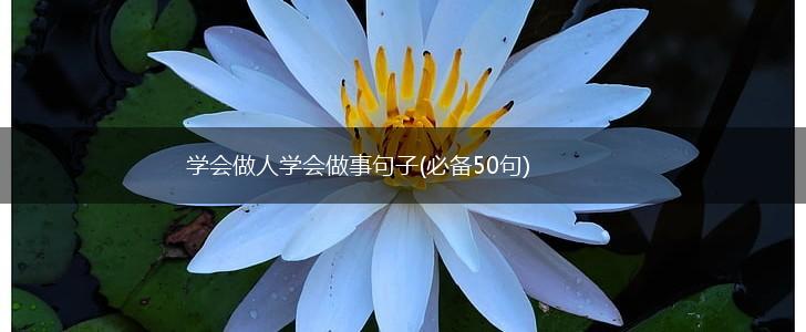 学会做人学会做事句子(必备50句),第1张