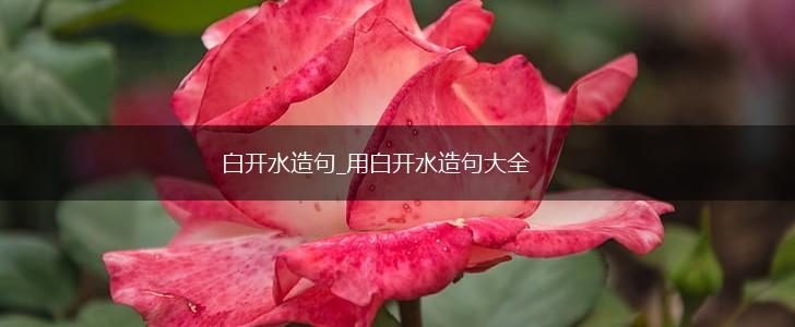 白开水造句_用白开水造句大全,第1张