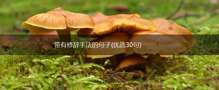 带有修辞手法的句子(优选30句),第1张