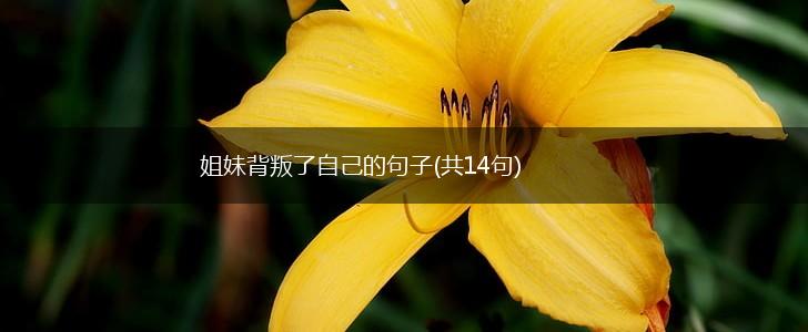 姐妹背叛了自己的句子(共14句),第1张