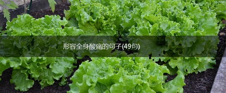形容全身酸痛的句子(49句),第1张