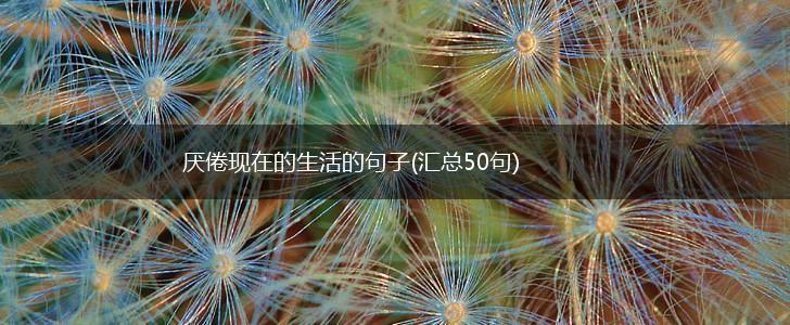 厌倦现在的生活的句子(汇总50句),第1张