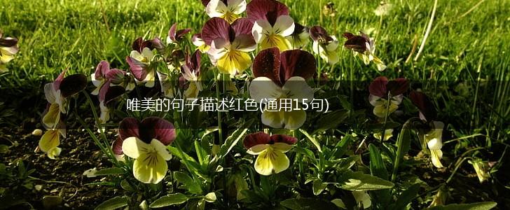 唯美的句子描述红色(通用15句),第1张