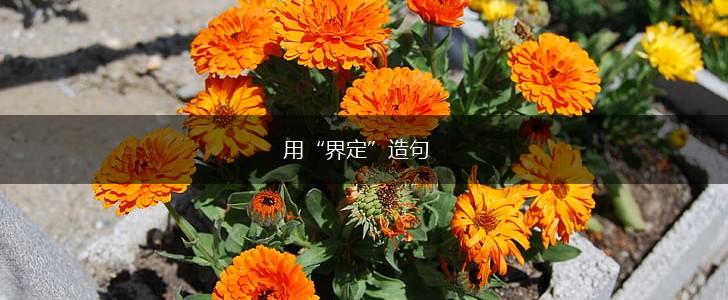 用“界定”造句,第1张 用“界定”造句,第1张