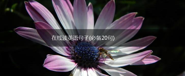 在线读英语句子(必备20句),第1张