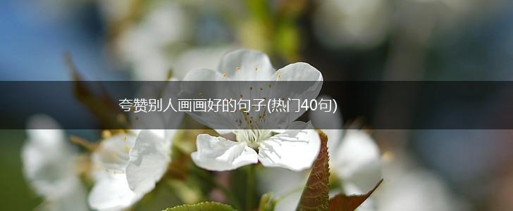 夸赞别人画画好的句子(热门40句),第1张
