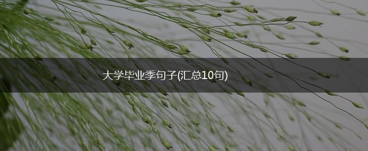 大学毕业季句子(汇总10句),第1张