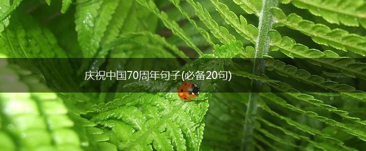 庆祝中国70周年句子(必备20句),第1张