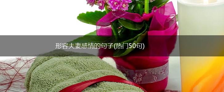 形容夫妻感情的句子(热门50句),第1张