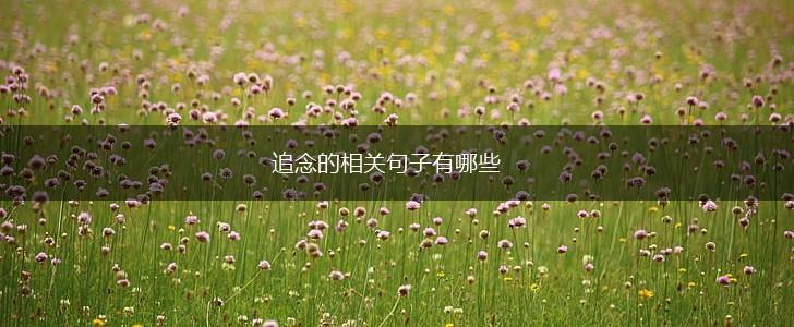追念的相关句子有哪些,第1张 追念的相关句子有哪些,第1张