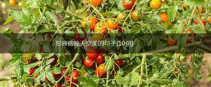 形容傍晚天空美的句子(10句),第1张