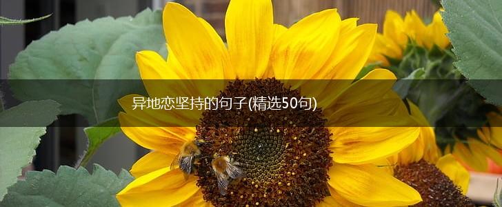异地恋坚持的句子(精选50句),第1张