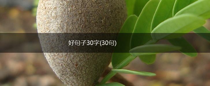 好句子30字(30句),第1张