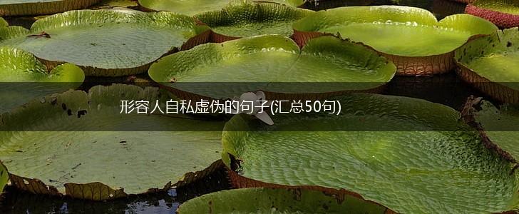 形容人自私虚伪的句子(汇总50句),第1张