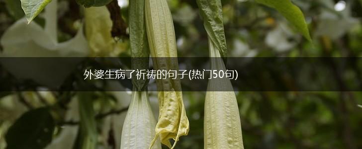 外婆生病了祈祷的句子(热门50句),第1张