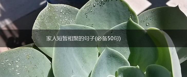 家人短暂相聚的句子(必备50句),第1张