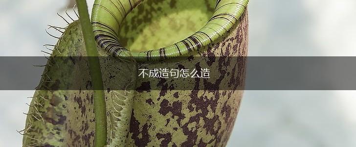 不成造句怎么造,第1张