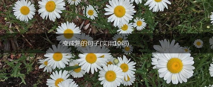 变成熟的句子(实用10句),第1张