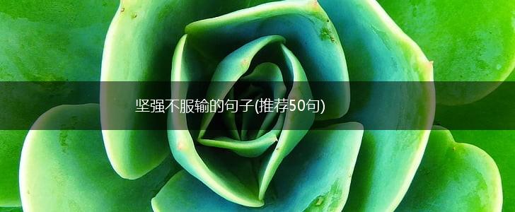 坚强不服输的句子(推荐50句),第1张
